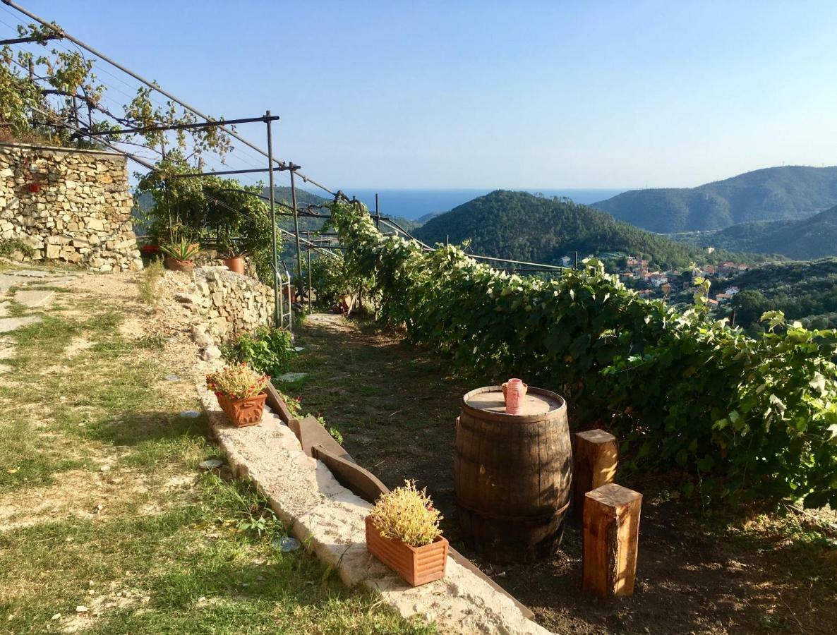 Agriturismo Lavalleggia Tovo San Giacomo Exterior photo