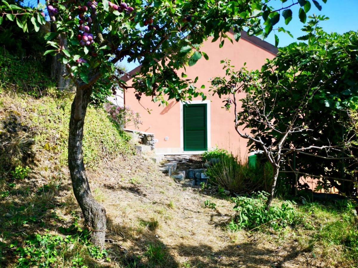 Agriturismo Lavalleggia Tovo San Giacomo Exterior photo
